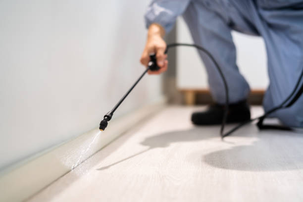 Licensed Fumigation Services service in Mount Pleasant, TX - Nex Pest Control