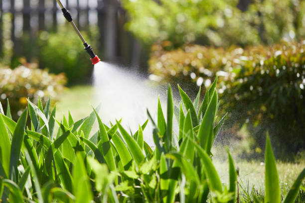24/7 Emergency Fumigation Services experts in Mount Pleasant, TX
