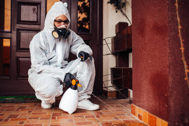 Reliable Fumigation Services contractor in Mount Pleasant, TX by Nex Pest Control