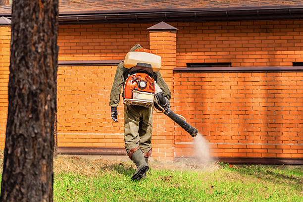 Top rated local Fumigation Services specialists in Mount Pleasant, TX